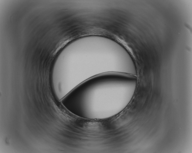 X0000097670154200803071603