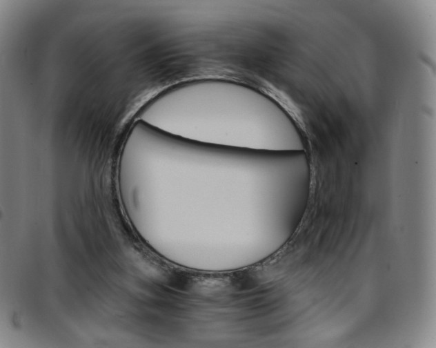 X0000097670155200803071603