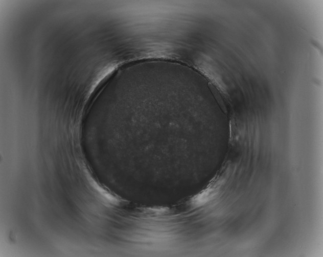 X0000097670156200803071603