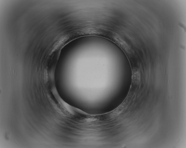 X0000097670158200803071603