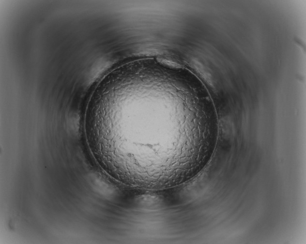 X0000097670159200803071603