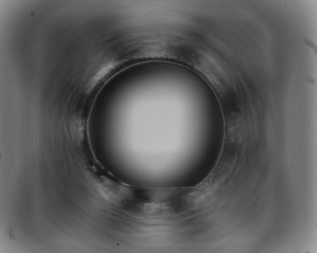 X0000097670160200803071603