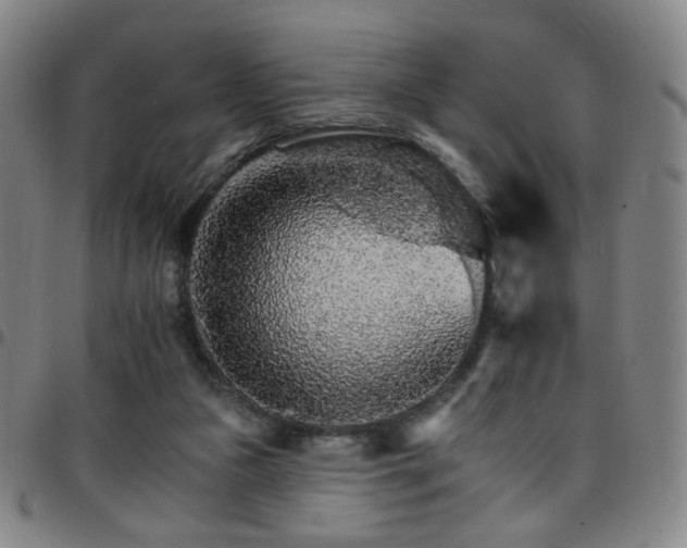 X0000097670161200803071603