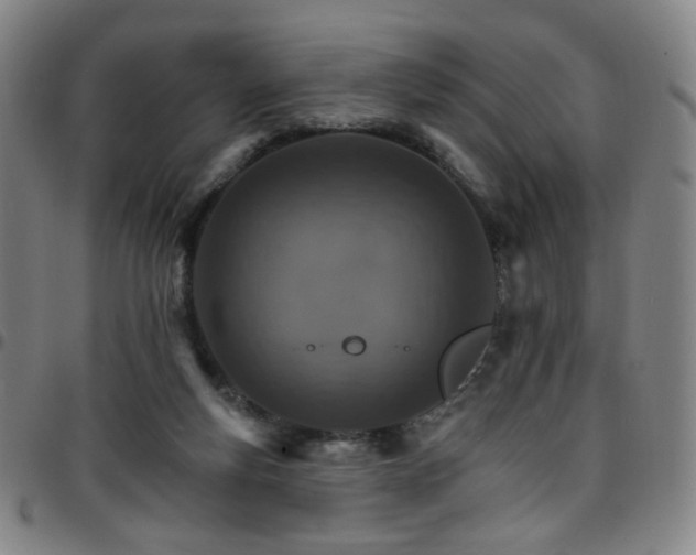 X0000097670163200803071603