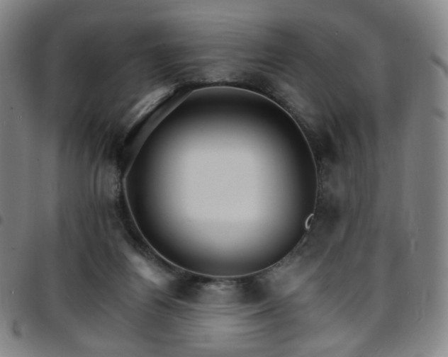 X0000097670164200803071603