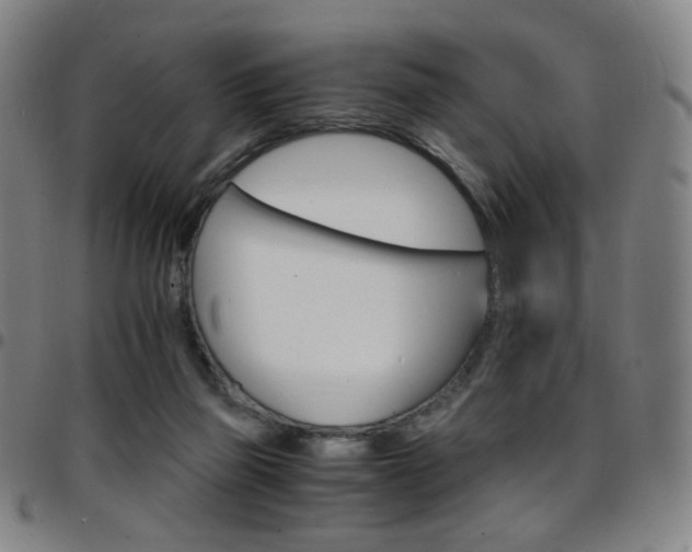 X0000097670165200803071603