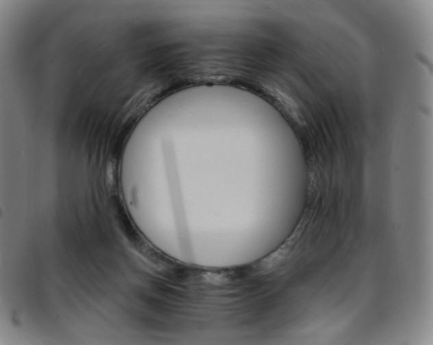 X0000097670166200803071603