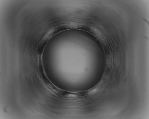 X0000097670167200803071603