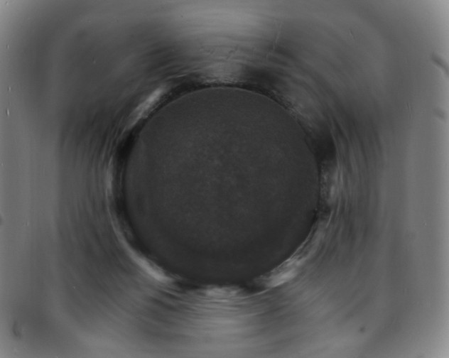 X0000097670168200803071603