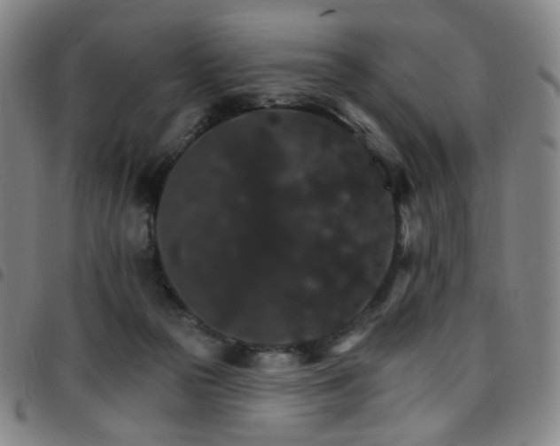X0000097670169200803071603
