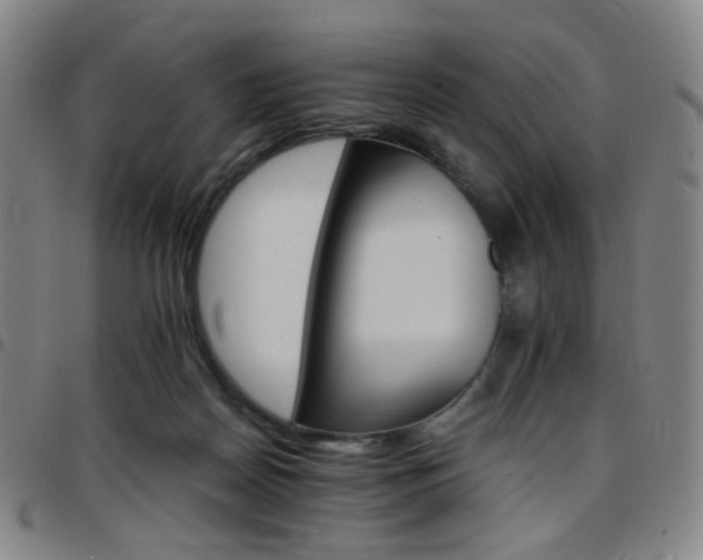 X0000097670170200803071603