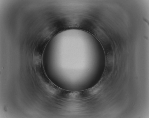 X0000097670172200803071603