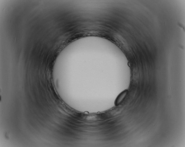 X0000097670173200803071603