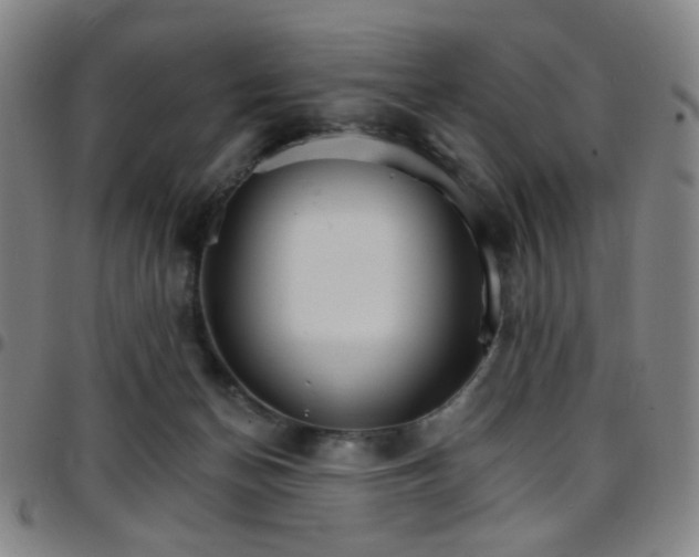 X0000097670174200803071603