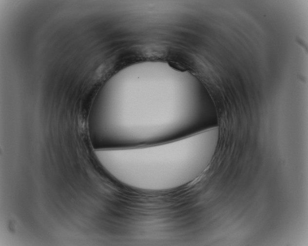 X0000097670176200803071603