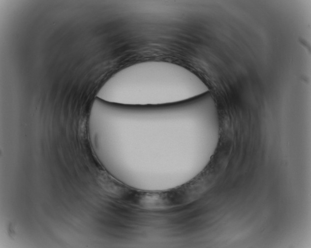 X0000097670177200803071603