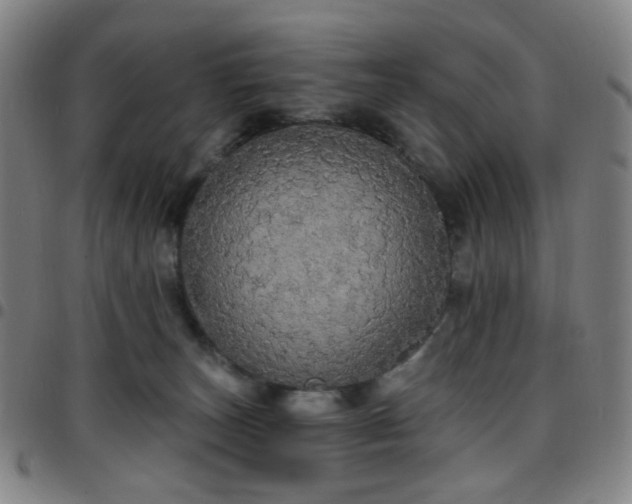 X0000097670179200803071603