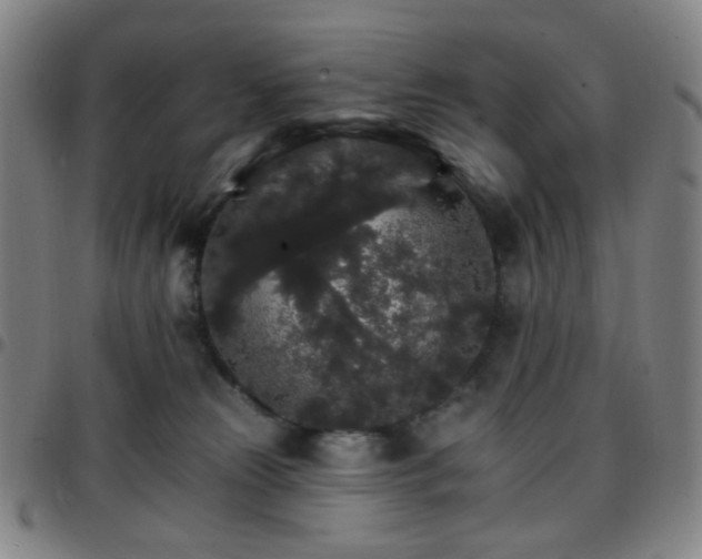 X0000097670181200803071603