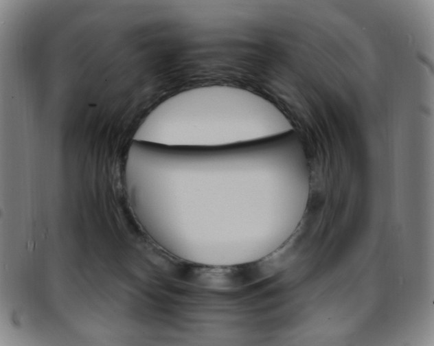 X0000097670182200803071603