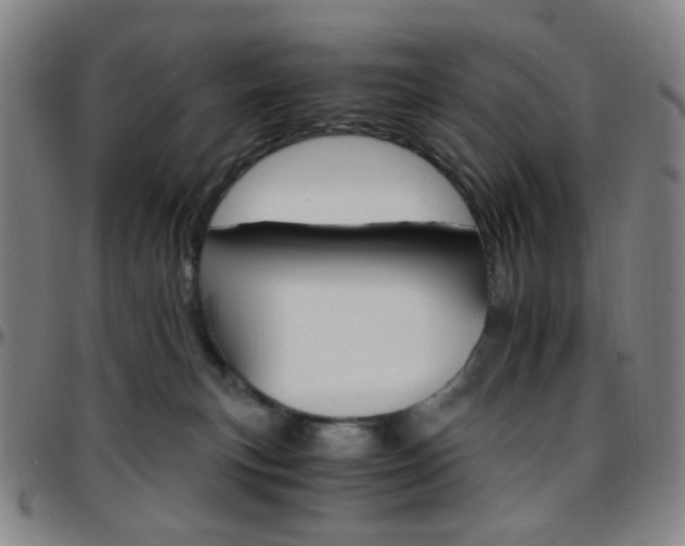 X0000097670183200803071603