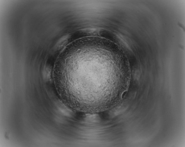 X0000097670185200803071603