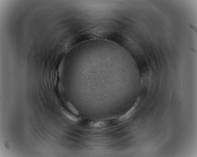 X0000097670186200803071603