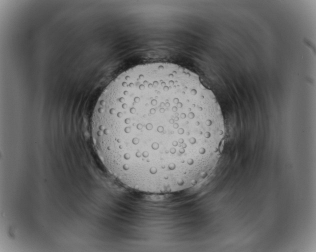 X0000097670187200803071603