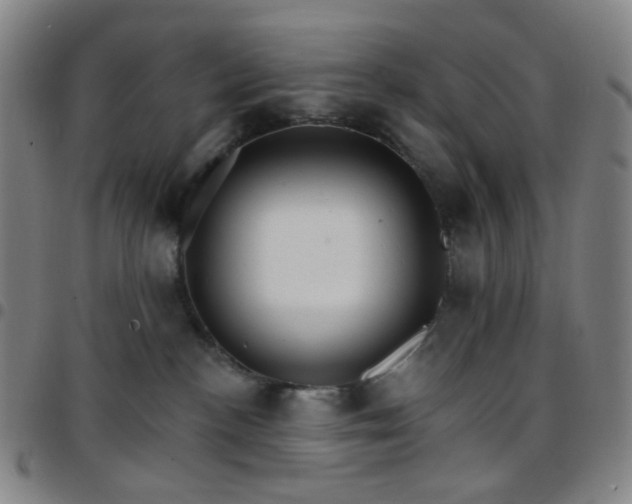 X0000097670188200803071603