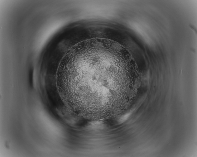 X0000097670189200803071603