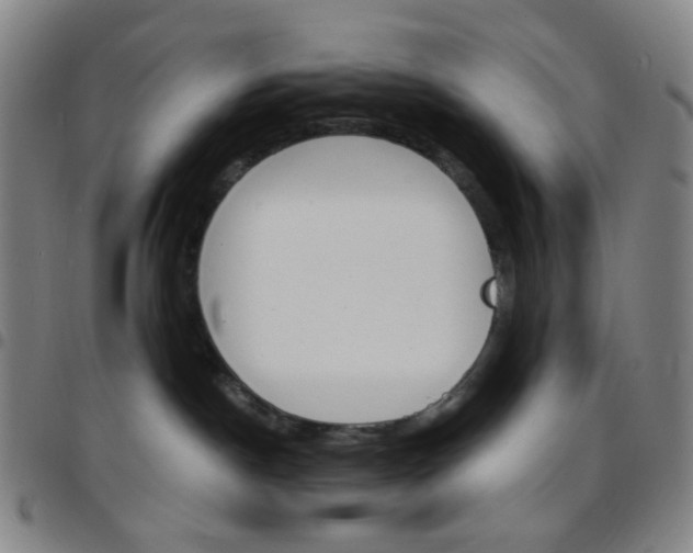 X0000097670190200803071603