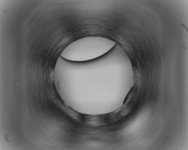 X0000097670191200803071603