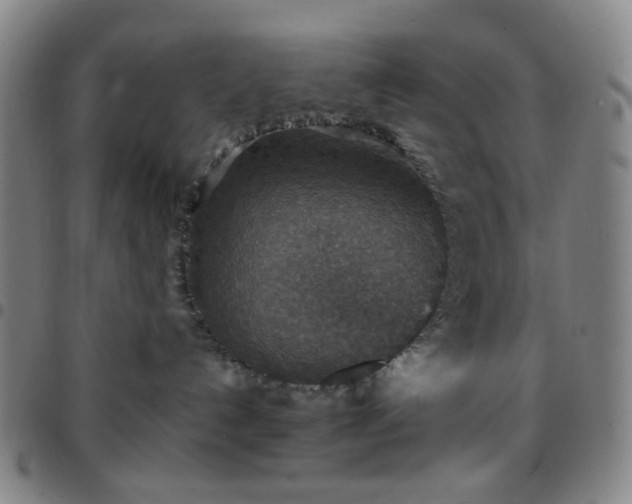 X0000097670192200803071603