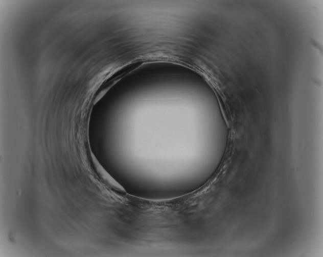 X0000097670193200803071602