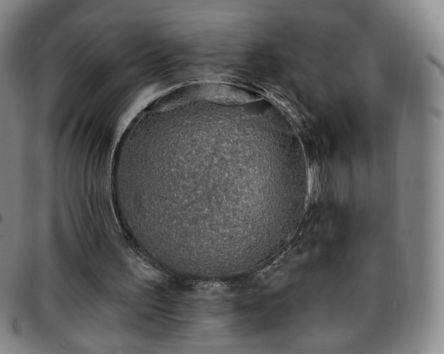 X0000097670195200803071602
