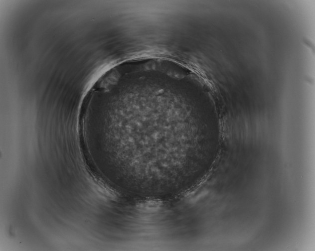 X0000097670196200803071602