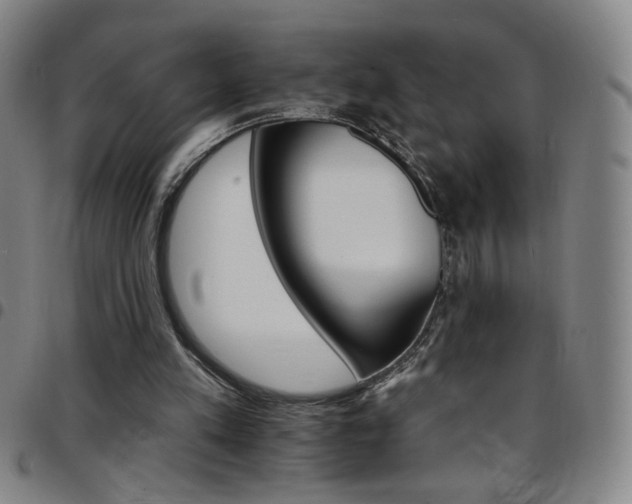 X0000097670197200803071602