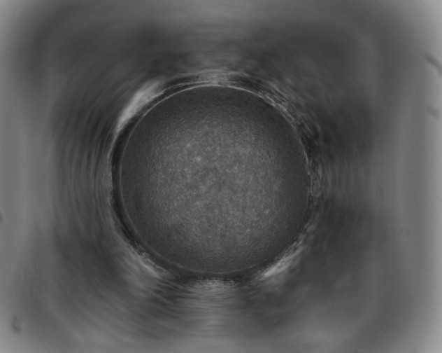 X0000097670198200803071602