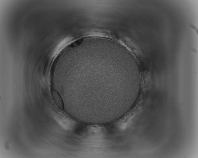 X0000097670199200803071602