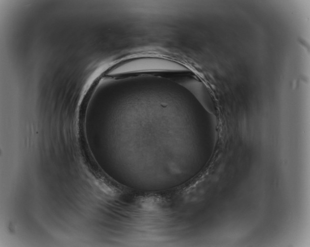 X0000097670200200803071602