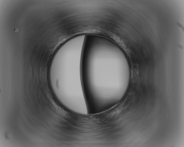 X0000097670201200803071602