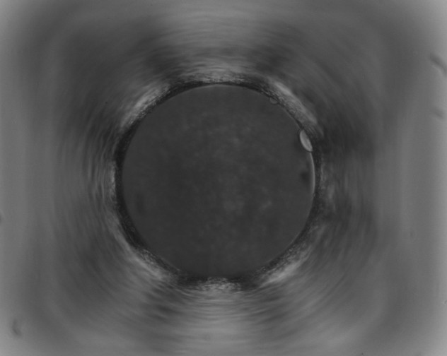 X0000097670202200803071602