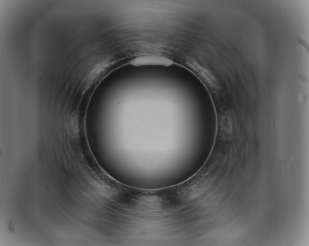 X0000097670203200803071602