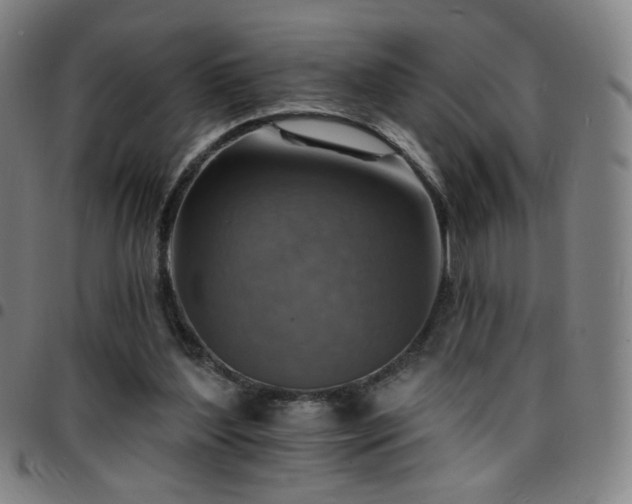 X0000097670204200803071602