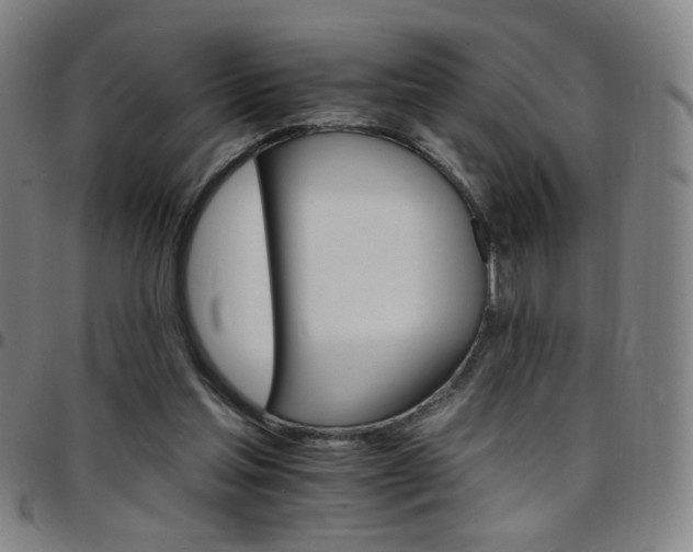 X0000097670205200803071602