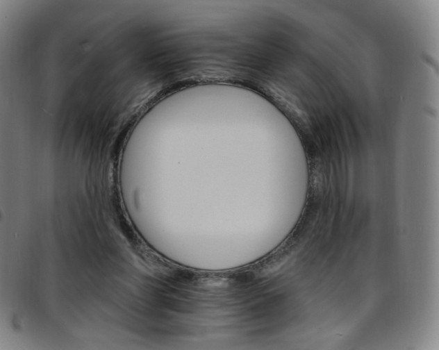 X0000097670206200803071602