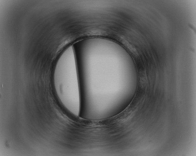 X0000097670207200803071602