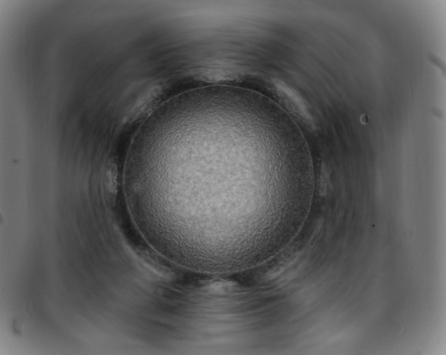 X0000097670210200803071602
