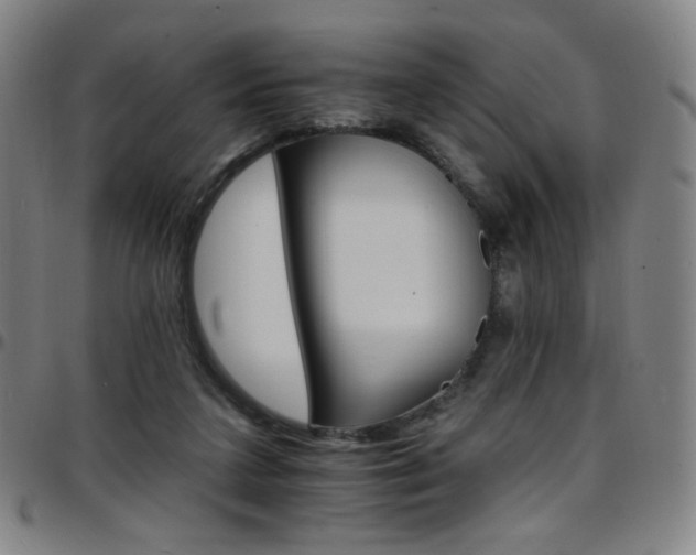 X0000097670211200803071602