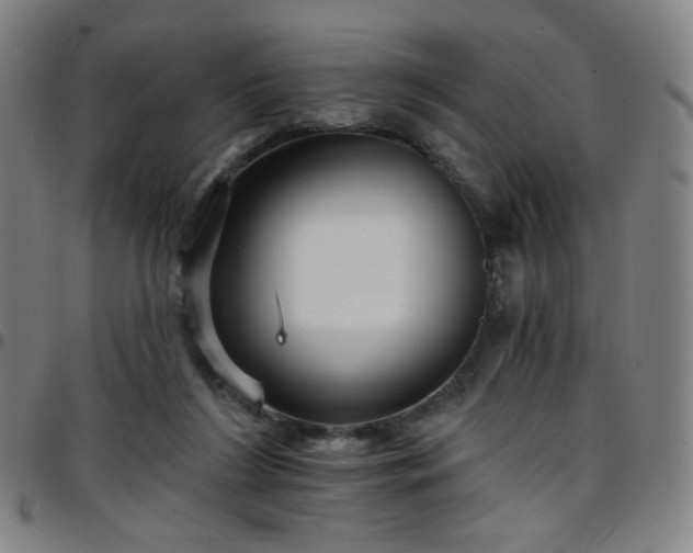 X0000097670212200803071602