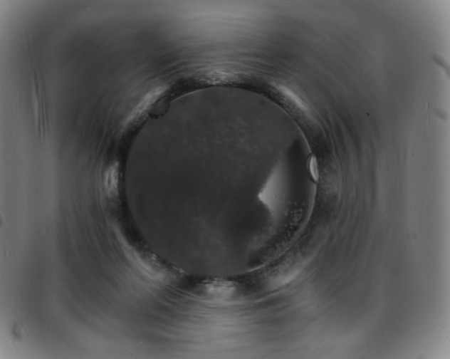 X0000097670214200803071602